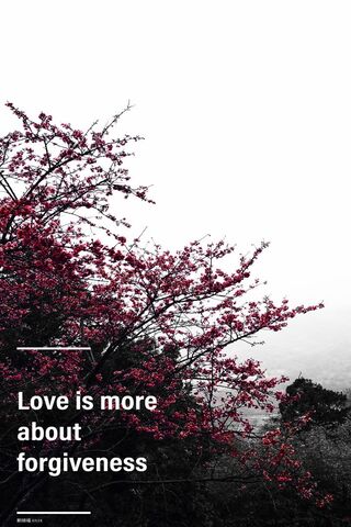 Blossoms of Forgiveness 🌸