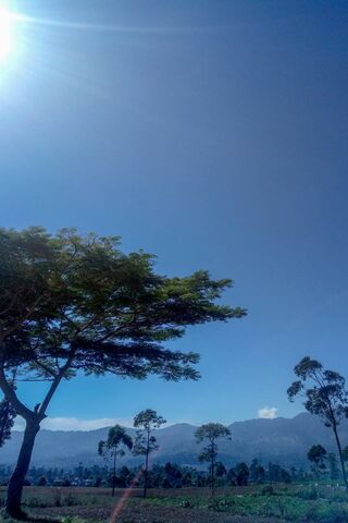 Serenity in the Heart of Indonesia 🌿☀️