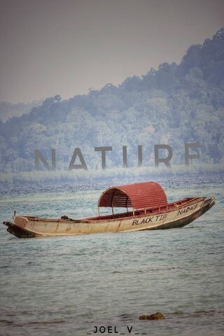 Serenity on the Water 🌊