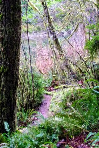 Path Less Taken