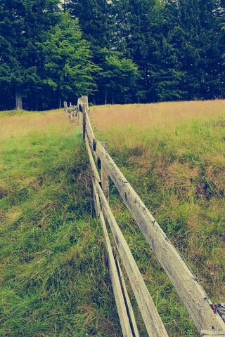 Wood Fence