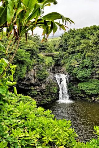 Maui's Hidden Oasis: A Waterfall Escape 🌿💦