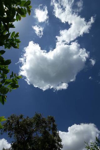Heartfelt Cloud in a Blue Canvas 💙☁️