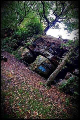 Whispers of the Forgotten Mines 🌲⛏️