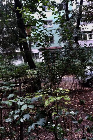 City Oasis: Nature's Embrace