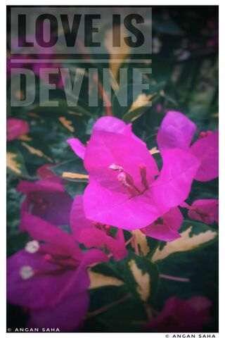 Cinta adalah Devine