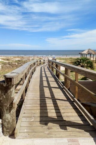 Serenity by the Shore 🌊🌞
