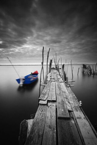 Vibrant Serenity: A Splash of Color in Monochrome