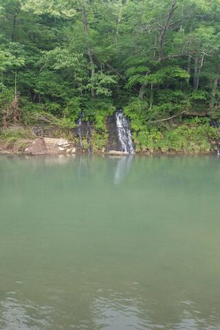 Serenity at Blue River 🌊🌿