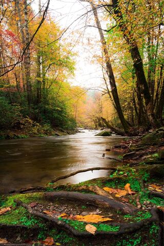 Grevena River