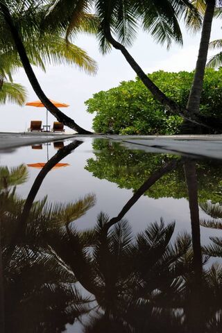 Serenity in the Maldives: A Tropical Escape 🌴☀️