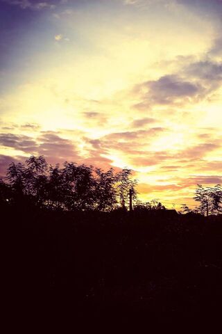 Awakening Horizons 🌅