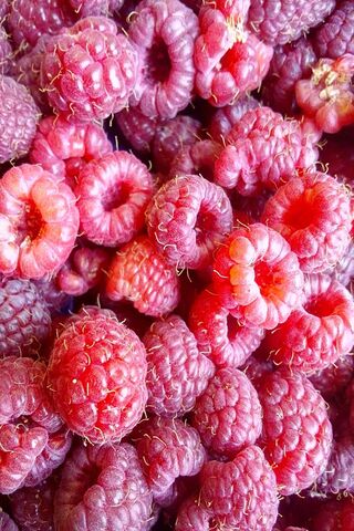 Berry Bliss: A Raspberry Delight 🍇✨