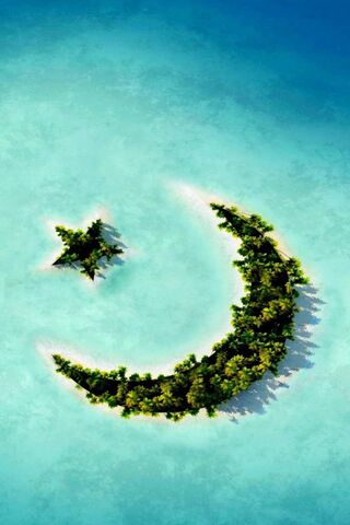 Celestial Oasis: The Moon and Star Retreat 🌙⭐