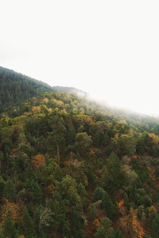 Oregon Wilderness