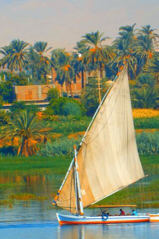 Sailing Through Serenity: The Nile's Embrace 🌊⛵