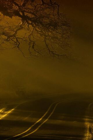 Mystical Journey: The Enchanted Road