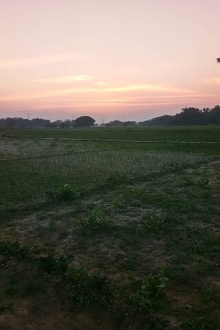 Evening Time