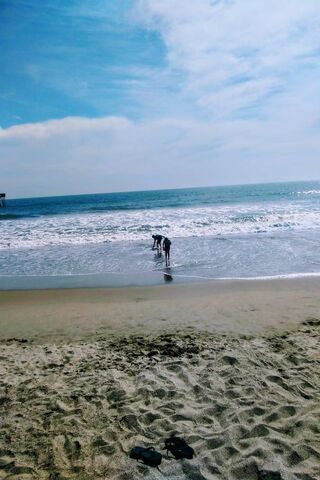 Sunny Shores: A Day at Polaroid Beach 🌊☀️