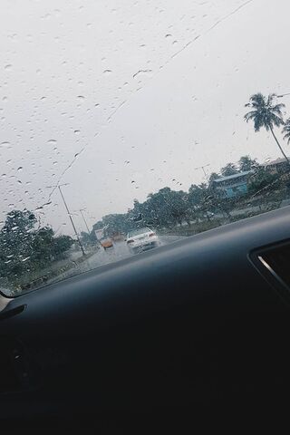 Melody of Raindrops 🌧️🚗