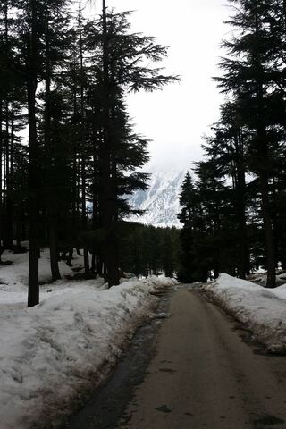 Enchanting Winter Trails of Northern Pakistan ❄️🌲