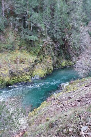 Serenity at Middle Fork: Nature's Hidden Gem 🌊🌲
