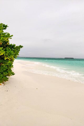 Serenity by the Shore: Maldives Bliss 🌴🌊