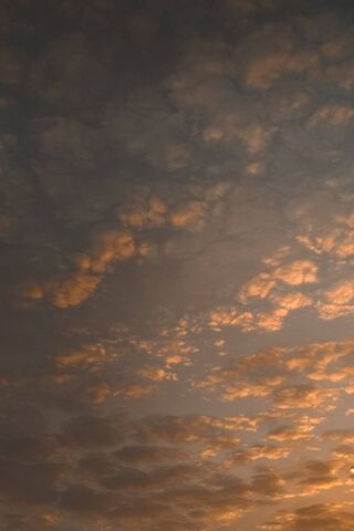 Twilight Whispers: A Sky in Transition