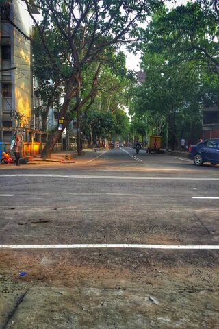 Chill Vibes on Urban Lazy Road 🌳🚶