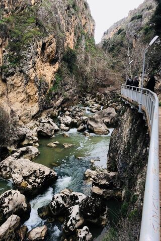 Nature's Embrace: The Serenity of Manzara 🌿💧