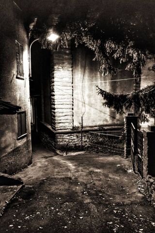 Whispers of the Night: The Bells Tower