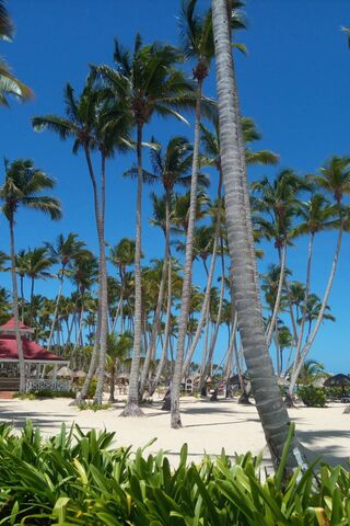 Tropical Bliss: A Caribbean Escape 🌴☀️