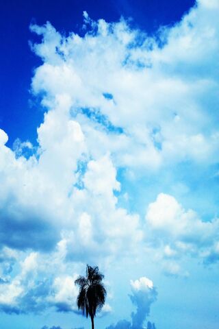 Endless Horizons: A Day Under the Blue Sky 🌤️