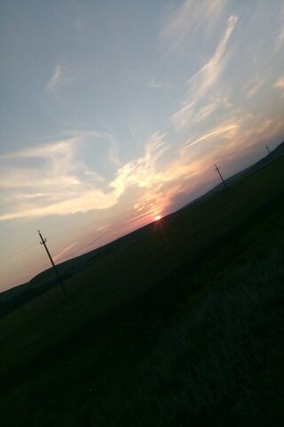 Apus: The Dance of Day and Night 🌅✨