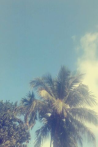 Arijit Das: A Tropical Escape 🌴☀️