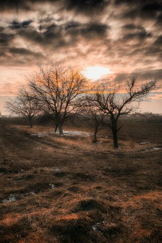 Whispers of the Dusk 🌅