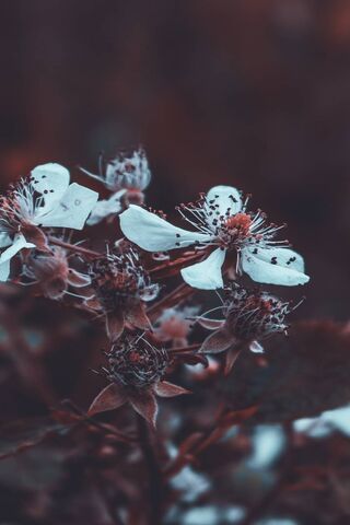 Whispers of Nature's Past