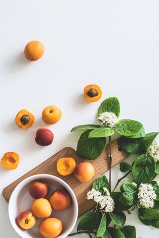 A Bounty of Summer Fruits 🍑🌿