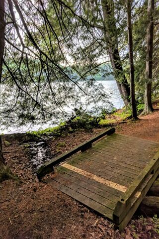 Tranquil Pathways by the Water 🌲💧