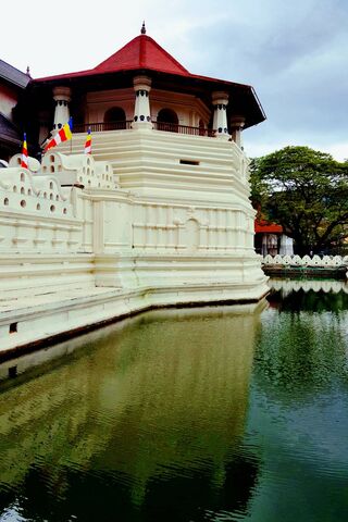 Serenity at Kandy Temple: A Glimpse of Tranquility 🕊️🏯