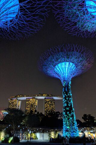 Enchanted Night at Gardens By The Bay 🌌🌿