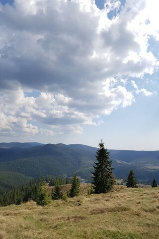 Endless Horizons: Nature's Canvas 🌄