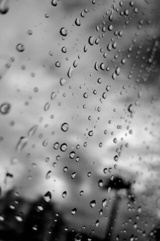 Melancholic Moments: A Rainy Day Reflection 🌧️