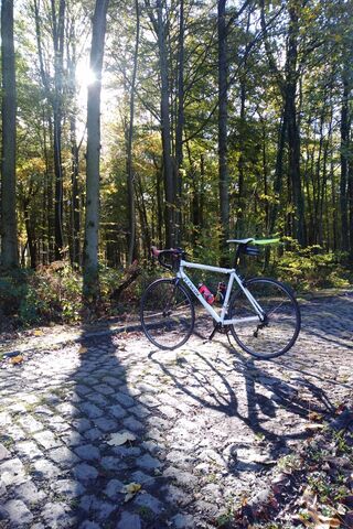 Velo