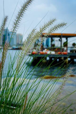 Serene Waterscape 🌿✨