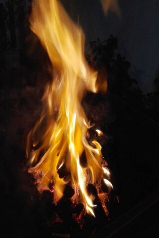 Dancing Flames of Fuego 🔥