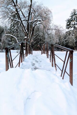 Winter's Embrace: The Snowy Bridge