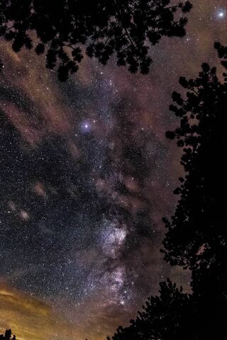 Starry Sky
