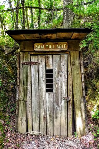 Gateway to the Past: The Saw Mill Adit