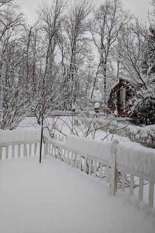 Winter Wonderland